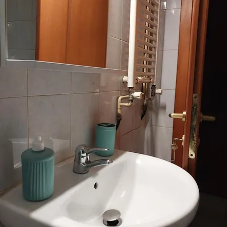 Anibo & Zp411